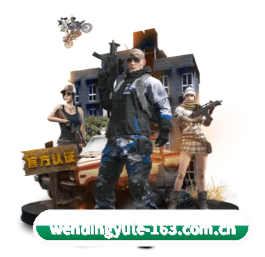 问鼎娱乐 APP 深度功能(Wending)